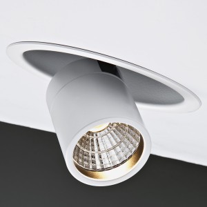 Pluriel Downlight